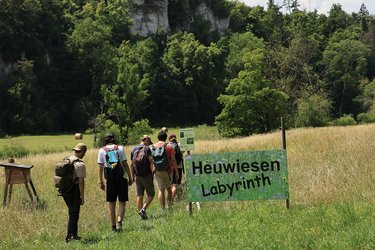 Studierende laufen in dem angelegten "Heuwiesen-Labyrinth"