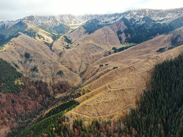 Das Bild zeigt Eindrücke von großflächigem Kahlhieben in den zentralen südlichen Karpaten