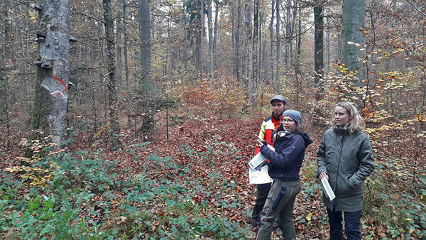 Drei Studierende im Wald