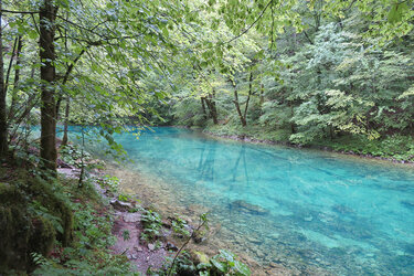 Türkisfarbener Bach im Wald