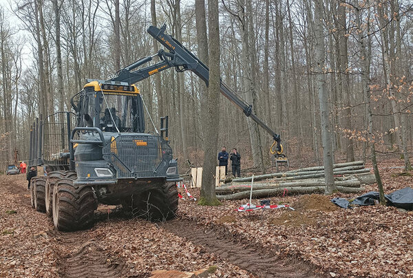 Forwarder im Wald