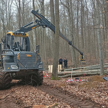 Forwarder im Wald