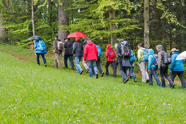 Gruppe wandernd: Foto von KTG Bad Peterstal-Griesbach