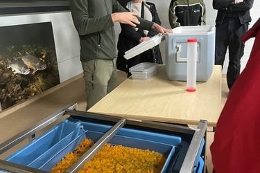 Studierende hören dem Referenten zu
