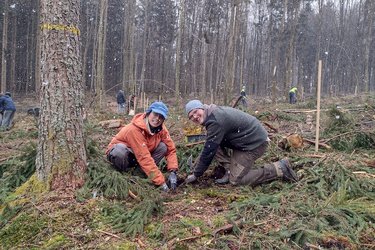 Studierende beim Pflanzen von Bäumen im Wald
