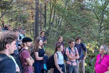 Studierendestehen im Wald und hören der Referentin zu
