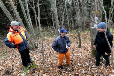 Gruppe von Forstexperten in einem Versuchswald