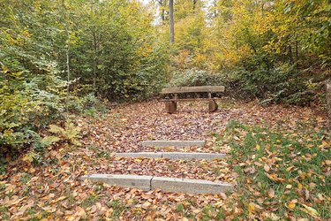Blick auf eine Sitzbank im Heilwald in Heidelberg