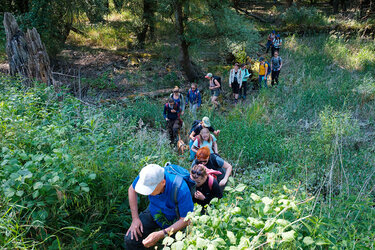 Studierende wandern auf einem schmalen Pfad im Wald