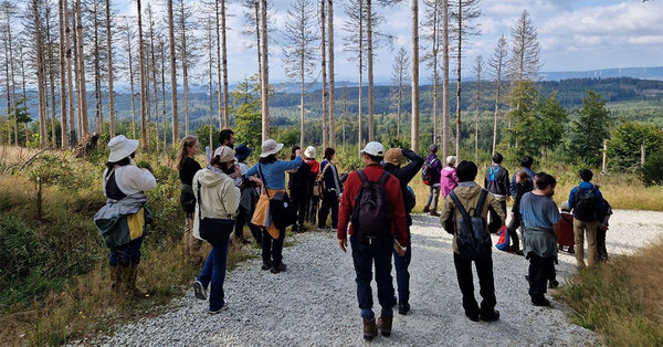 Studierende begutachten eine Kalamitätsfläche mit abgestorbenen Bäumen im Wald