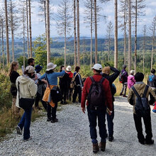 Studierende begutachten eine Kalamitätsfläche mit abgestorbenen Bäumen im Wald
