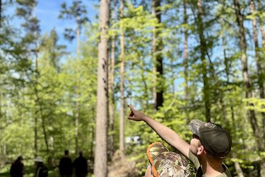 Zwei Studierende stehen im Wald und schauen in die Baumkronen. Ein Student zeigt nach oben.