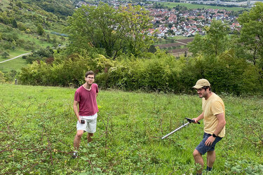 Mitarbeiter der Hochschule für Forstwirtschaft auf der Suche nach einem besenderten Tagfalter am Spitzberg