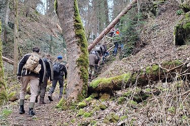 Studierende wandern auf einem schmalen Wanderweg durch den Wald 
