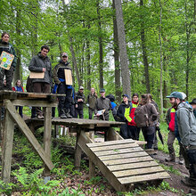 Studierende stehen auf und neben einer Sprungrampe im Wald