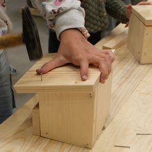 Ein Mädchen baut einen Nistkasten