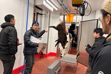 Die Gäste in der Wildkammer