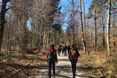 Studierende laufen durch das Lehrrevier der Hochschule für Forstwirtschaft Rottenburg