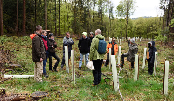 Studierende stehen auf einer Freifläche im Wald. Auf der Fläche stehen Wuchshüllen.