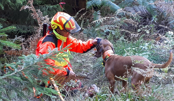 Jäger kniet bei der Nachsuche mit seinem Hund auf dem Boden