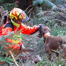 Jäger kniet bei der Nachsuche mit seinem Hund auf dem Boden