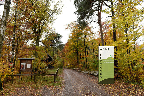 Fotomontage eines Waldparkplatzes mit Willkommens-Banner