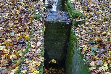 Blick auf den Wasserablauf eines Weihers