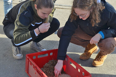 Zwei Studentinnen knien vor einer roten Kiste und begutachten die darin liegenden Rohstoffe