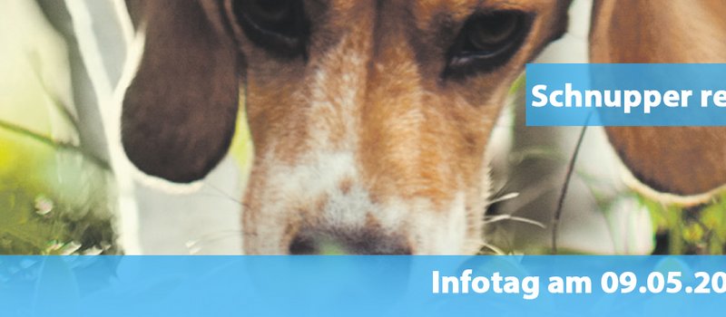 Studieninformationstag Schnupper rein - Infotag 09.05.2026