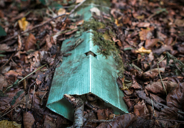 Eine alte Wuchshülle aus Plastik liegt ungenutzt im Wald