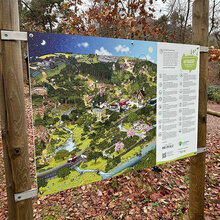 Ein Wimmelbild als Infotafel am Waldparkplatz Dreieichen im Forstamt Bad Dürkheim