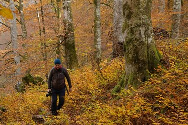Ein Mann mit einer Fotokamera läuft durch einen Laubwald im Herbst.