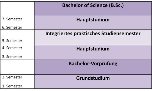 Ablaufschema Studiengang B.Sc. Nachhaltigkeitsmanagement in der Raumentwicklung