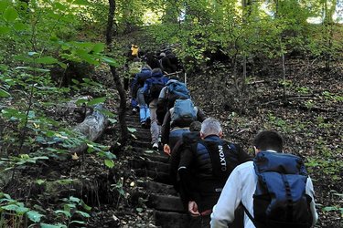 Studierende wandern eine Steintreppe hoch