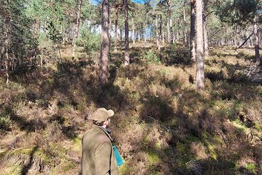 Referent steht im Wald
