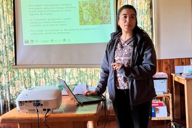 Eine Referentin an einem Laptop mit einem angeschlossenen Beamer präsentiert in einem Besprechungsraum eine Präsentation