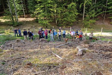 Die Teilnehmer stehen auf einer eingezäunten Freifläche im Wald