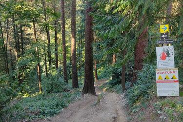 Blick auf einen ausgewisenenen Mountainbike-Trail