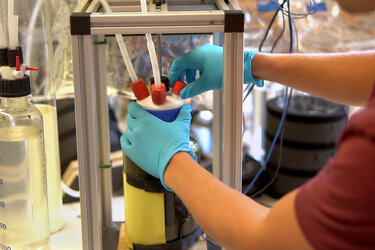 Eine Person mit blauen Schutzhandschuhen bedient ein Gerät im Labor