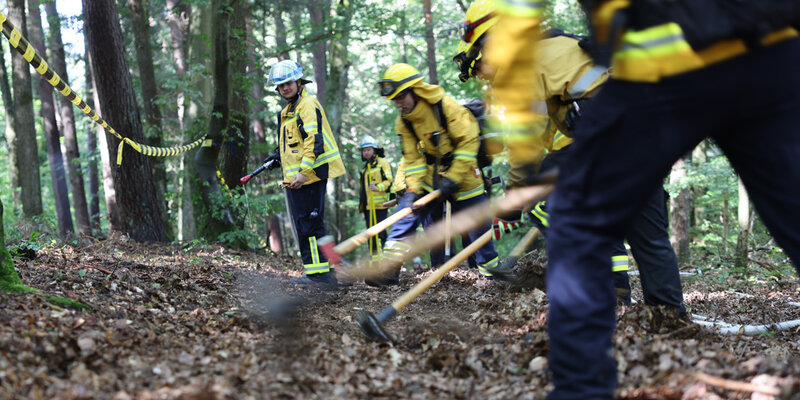 Feuerwehreinsatzkräfte im Wald