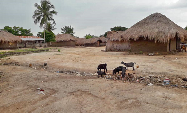 Ziegen vor Lehmhäusern in Bolou Dekpo (Togo, Westafrika)