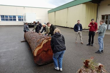 Studierende im Sägewerk