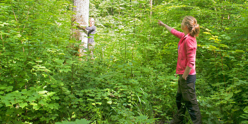 Zwei Studentinnen begutachten die Qualität eines Baumes im Lehrwald der Hochschule Rottenburg