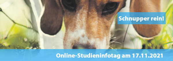 Schnupper rein! Studieninformationstag am 17.11.2021
