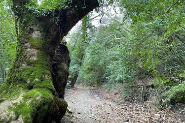 Canyon-Wanderweg im Dilek Nationalpark