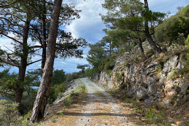 Wanderweg im Dilek-Nationalpark