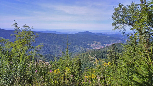 Blick auf Bergkuppen des Schwarzwaldes