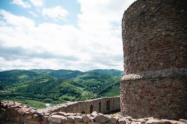 Burg mit Wald im Hintergrund