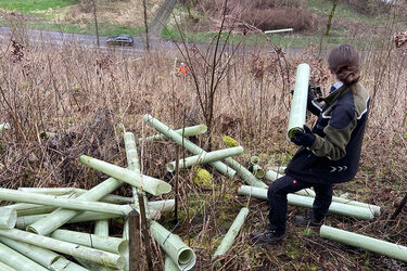 Studierende befreien den Wald von Wuchshüllen