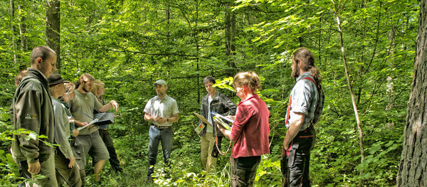 Professor mit Studierenden bei einer praktischen Waldbauübung im Lehrwald der Hochschule Rottenburg